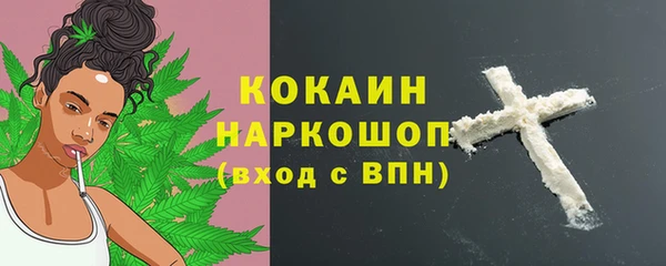 стаф Новозыбков