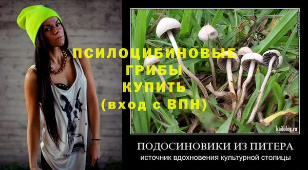 ПСИЛОЦИБИНОВЫЕ ГРИБЫ Новокубанск
