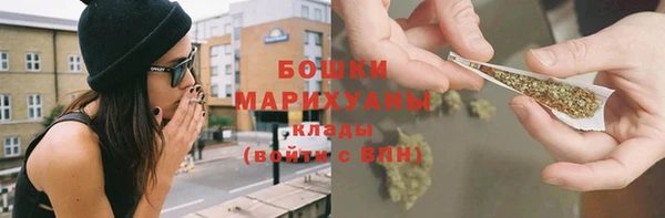 стаф Новозыбков